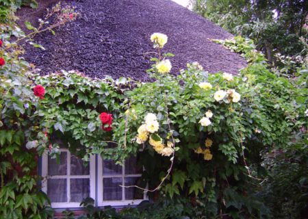 Urlaub auf Föhr im Friesenhaus